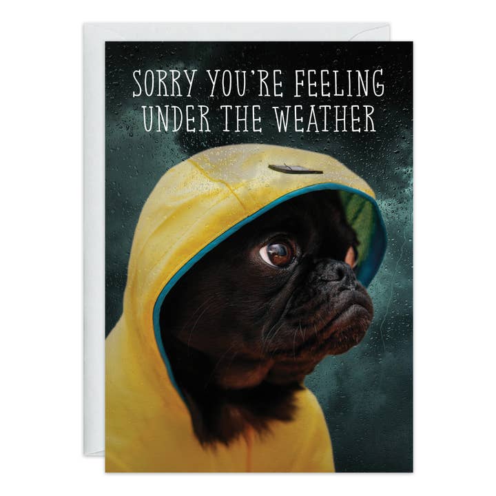 Under the Weather Card Dog Get Well per la vendita all'ingrosso da parte di Oatmeal Studios