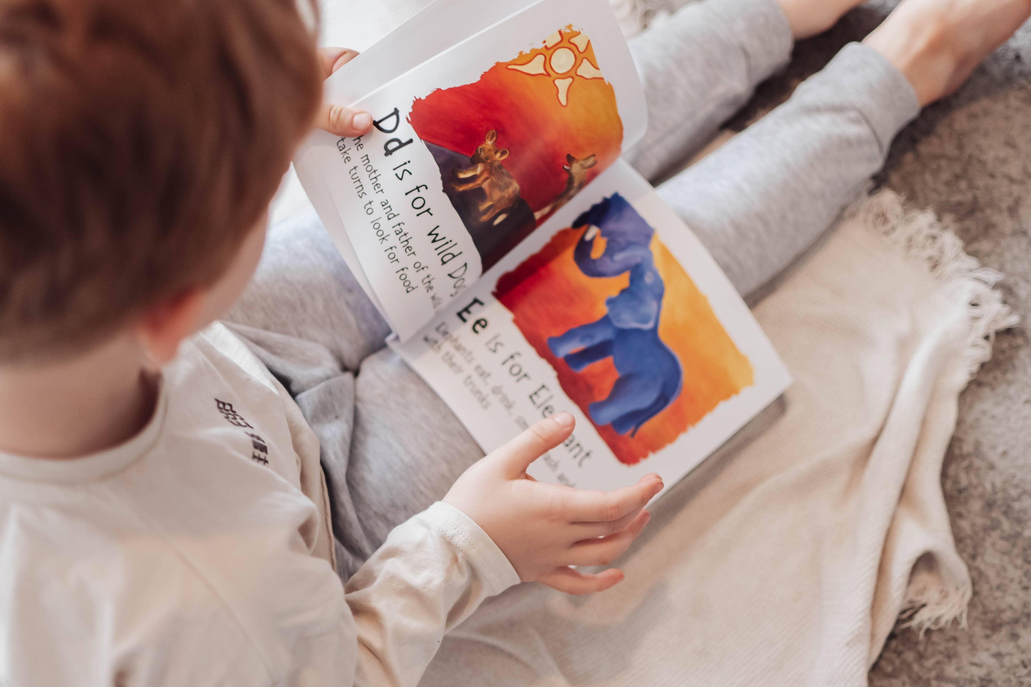 Tall Order - Wholesale Book - Kids - Children's ABC Book, African Alphabet Educational Book6