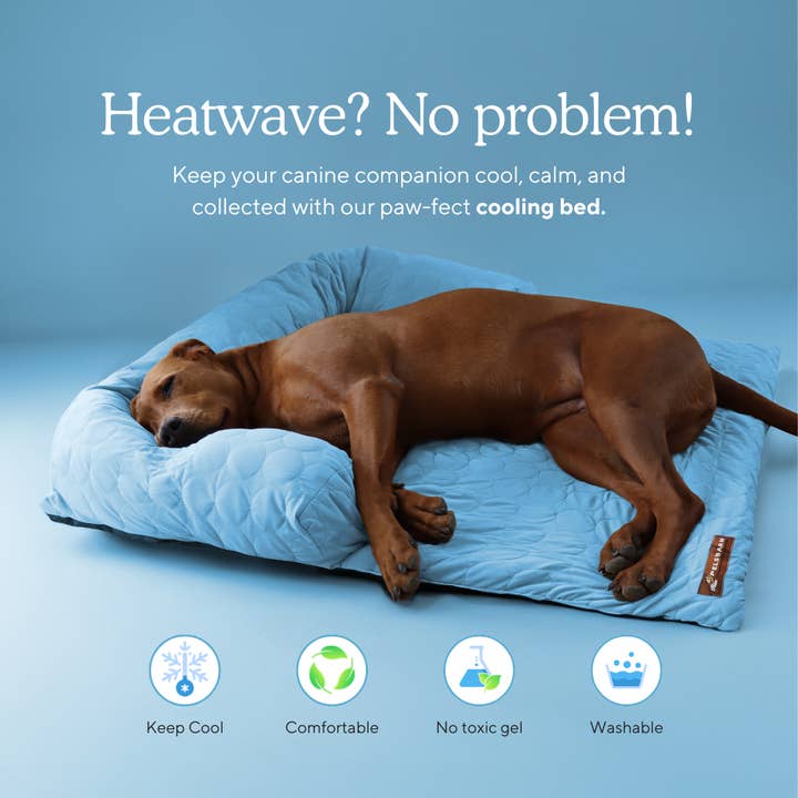 Pelsbarn - Wholesale Pet Bed - Dog - HeatRelief™ Cooling Dog Bed - Pelsbarn Helps Shelter Dogs!30