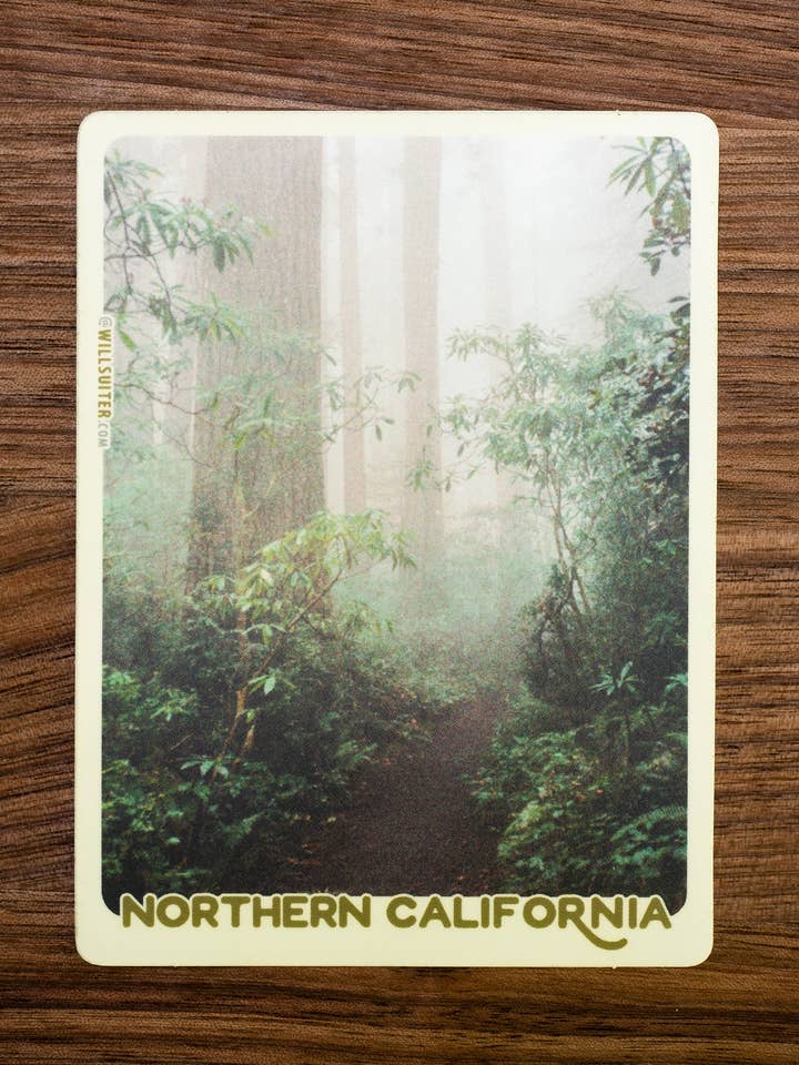 Autocollant Redwood Forest Fog - Californie du Nord 3x4 pouces pour la vente par Will Suiter Photography & Studio