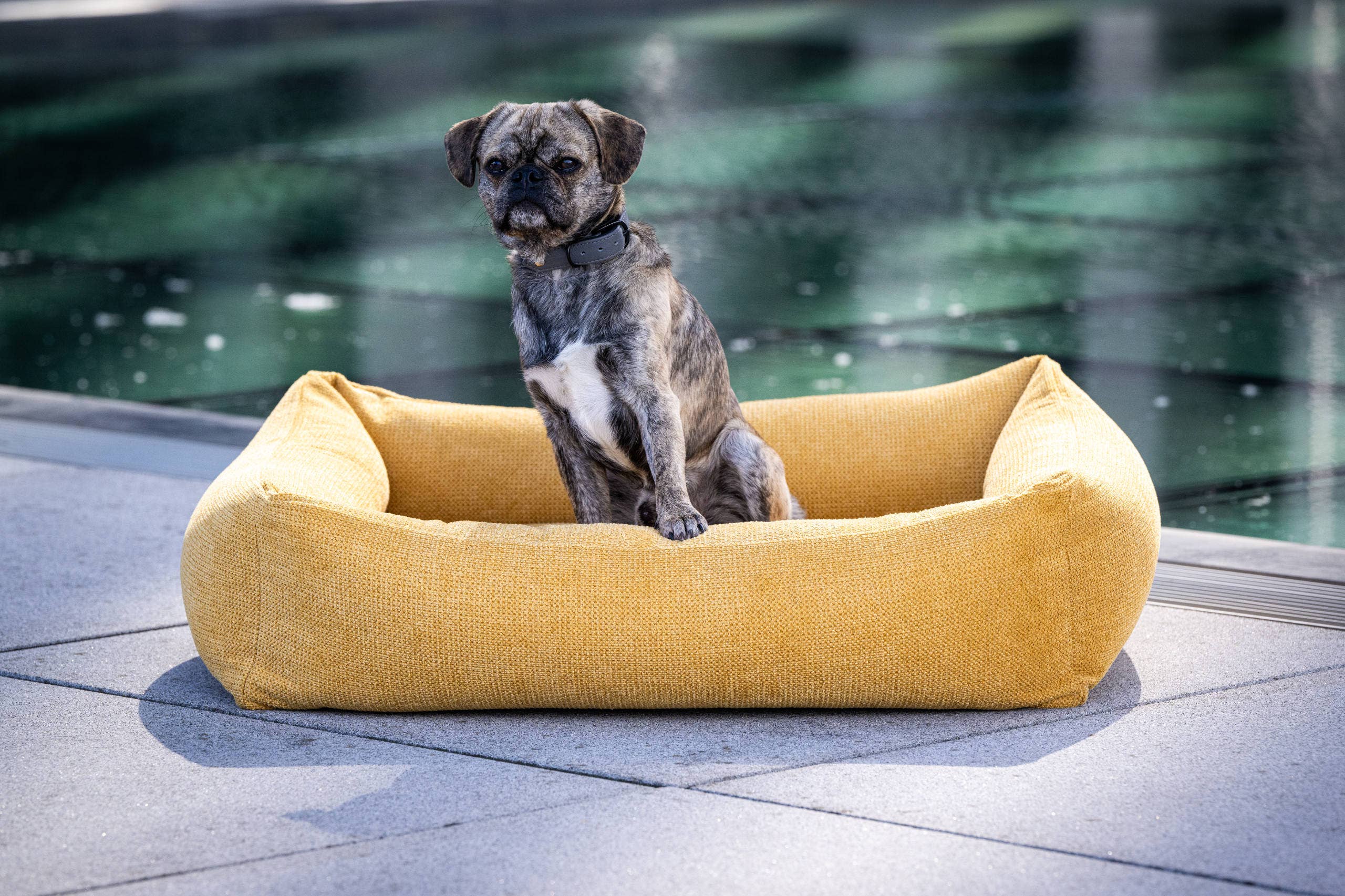 LABONI - Volentis GmbH – wholesale Husdjursbädd – Hund – ORTHO SÄLLSKAPSDJUR SÄNG TUDOR20