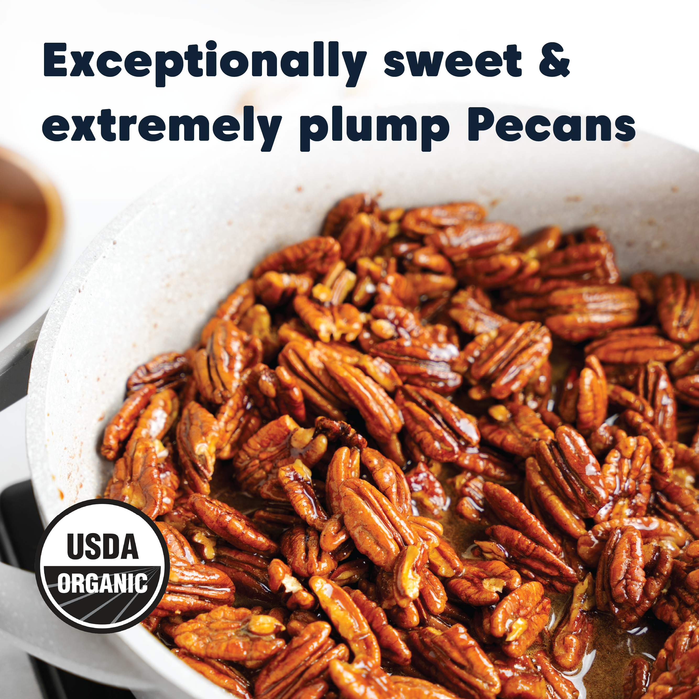 Wilderness Poets - Vente Noix - Pecans Bio3