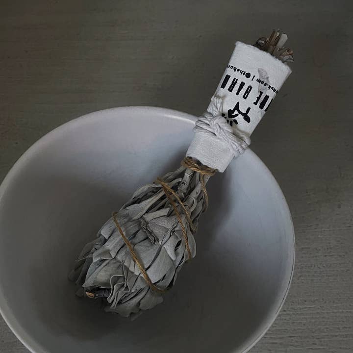 THE BARN - Venta al por mayor Salvia - Salvia blanca de la pradera0