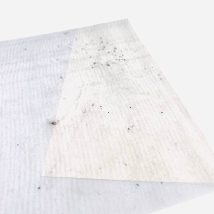 HELLO ARTIST DIY - Wholesale Craft Supplies - Transparent Papers – Botanical Series8