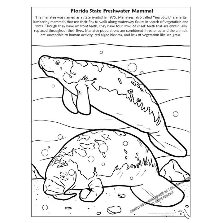 Really Big Coloring Books | ColoringBook.com - Wholesale Coloring & Activity Book - Kids & Baby - Florida State Coloring Book 8.5 x 112
