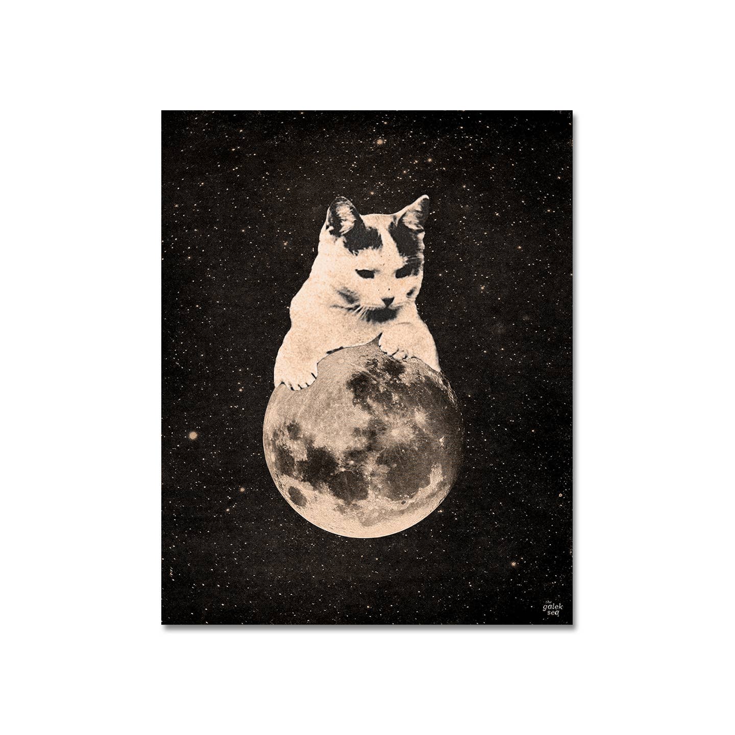 The Galek Sea – Engroshandel Kunsttryk – Mooncat 2 Print2