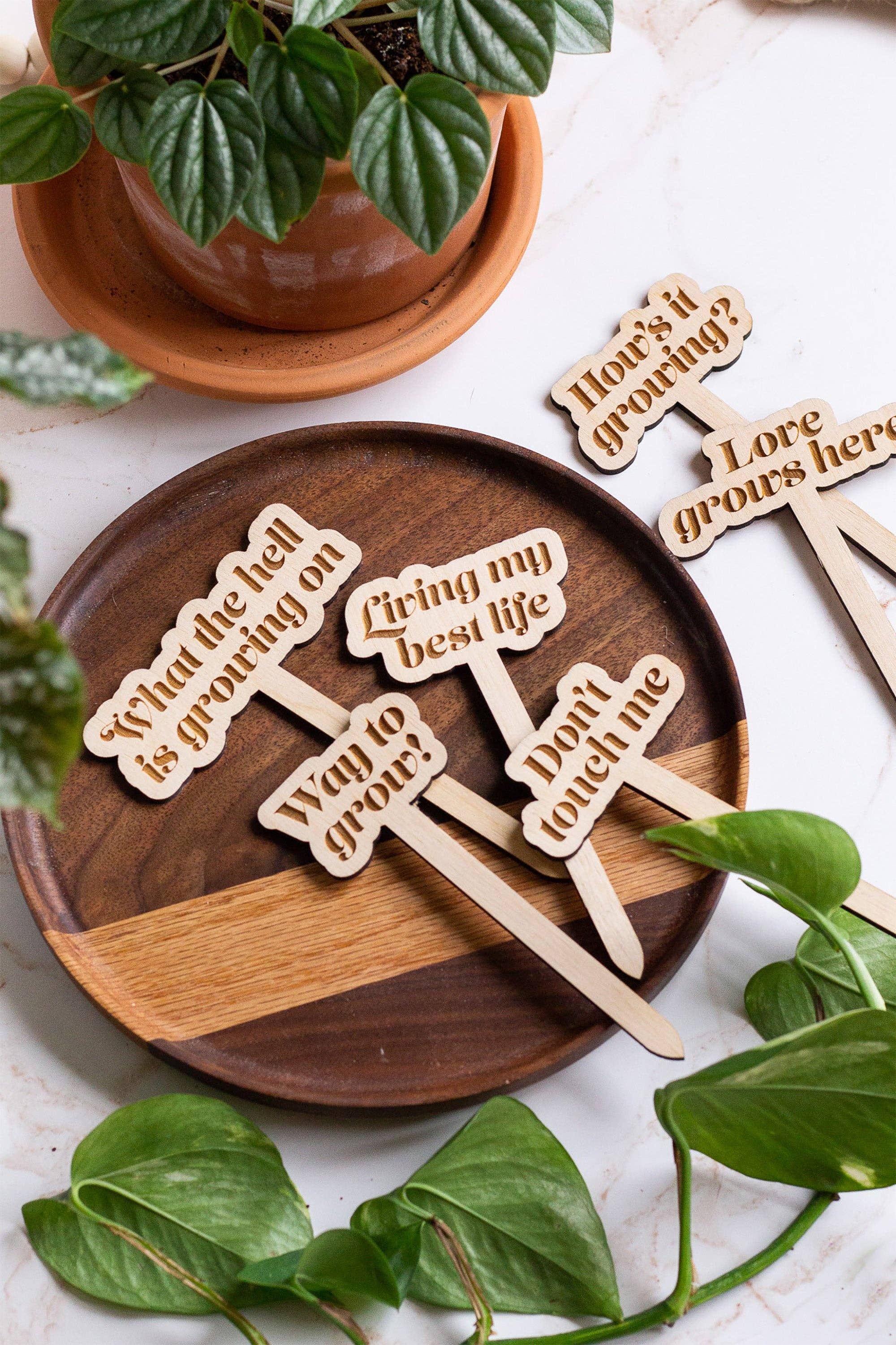 The Print Pantry - Wholesale Garden/Lawn Stake - Funny Wooden Plant Markers9
