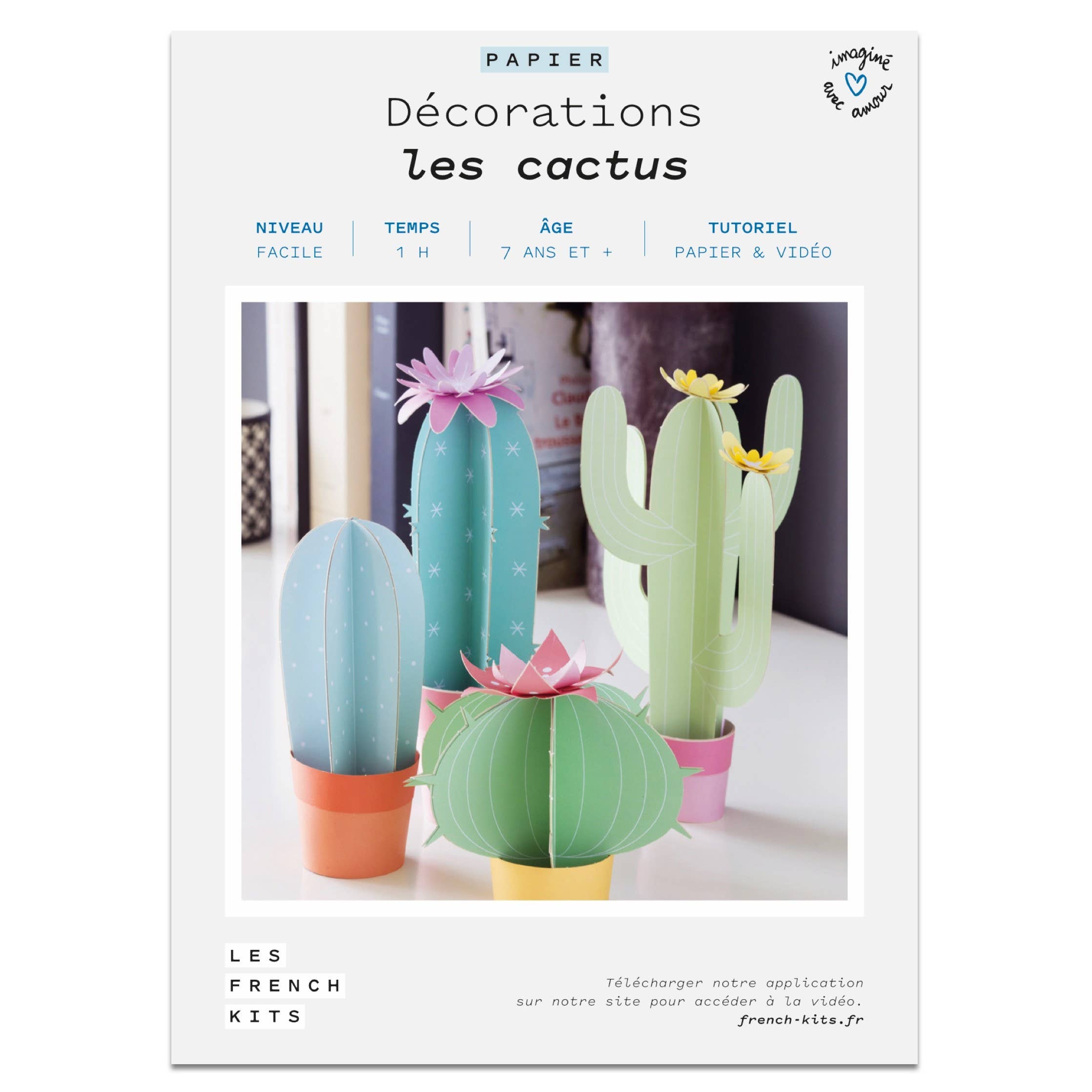 French Kits - Wholesale Gag Gift/Novelty Gift - French'Kits - Decoration - Cactuses1