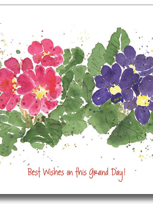 Prímulas por atacado de WORDS & WATERCOLORS BY PEG CONLEY