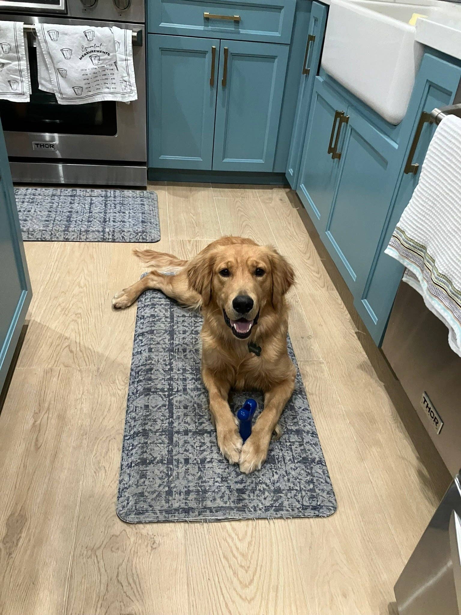 Flexifetch - Wholesale Pet Chew Toy - Dog - Original Bone Toy – The JD6