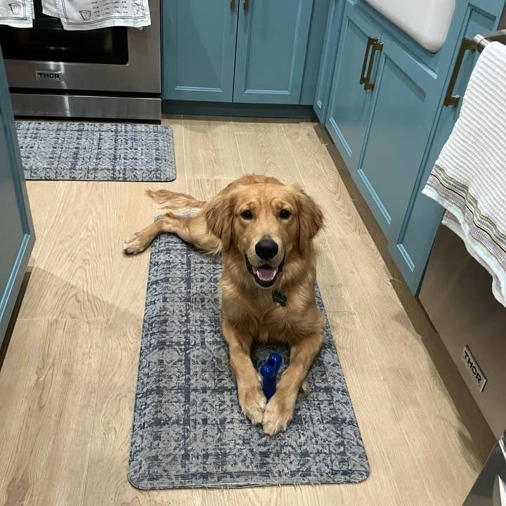 Flexifetch - Wholesale Pet Chew Toy - Dog - Original Bone Toy – The JD6