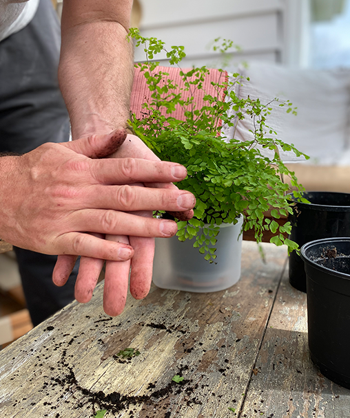 Boskke - Vente Pot - Till Planter - Triple - pot de fleurs auto-arrosage6