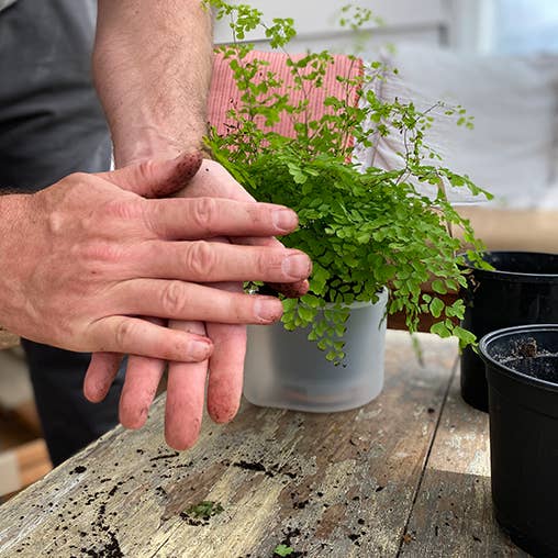 Boskke - Vente Pot - Till Planter - Triple - pot de fleurs auto-arrosage6