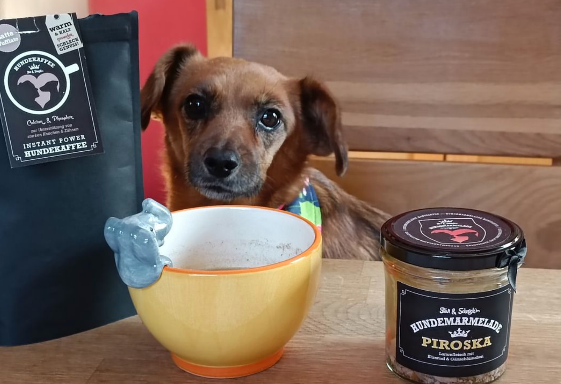 Meister Handelsmarken GmbH - Vente Nourriture – chien - CHAI BELLO café instantané énergétique pour chiens6