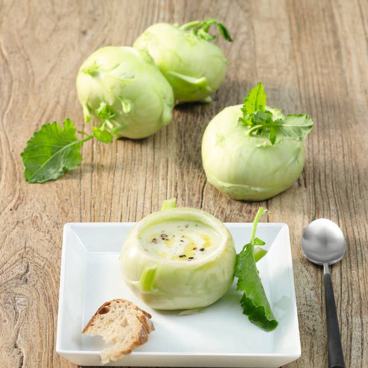 Assiettes/couvercles carrés en porcelaine à 250 °C * Délai de livraison de 2 à 3 mois pour la vente par ASA Selection