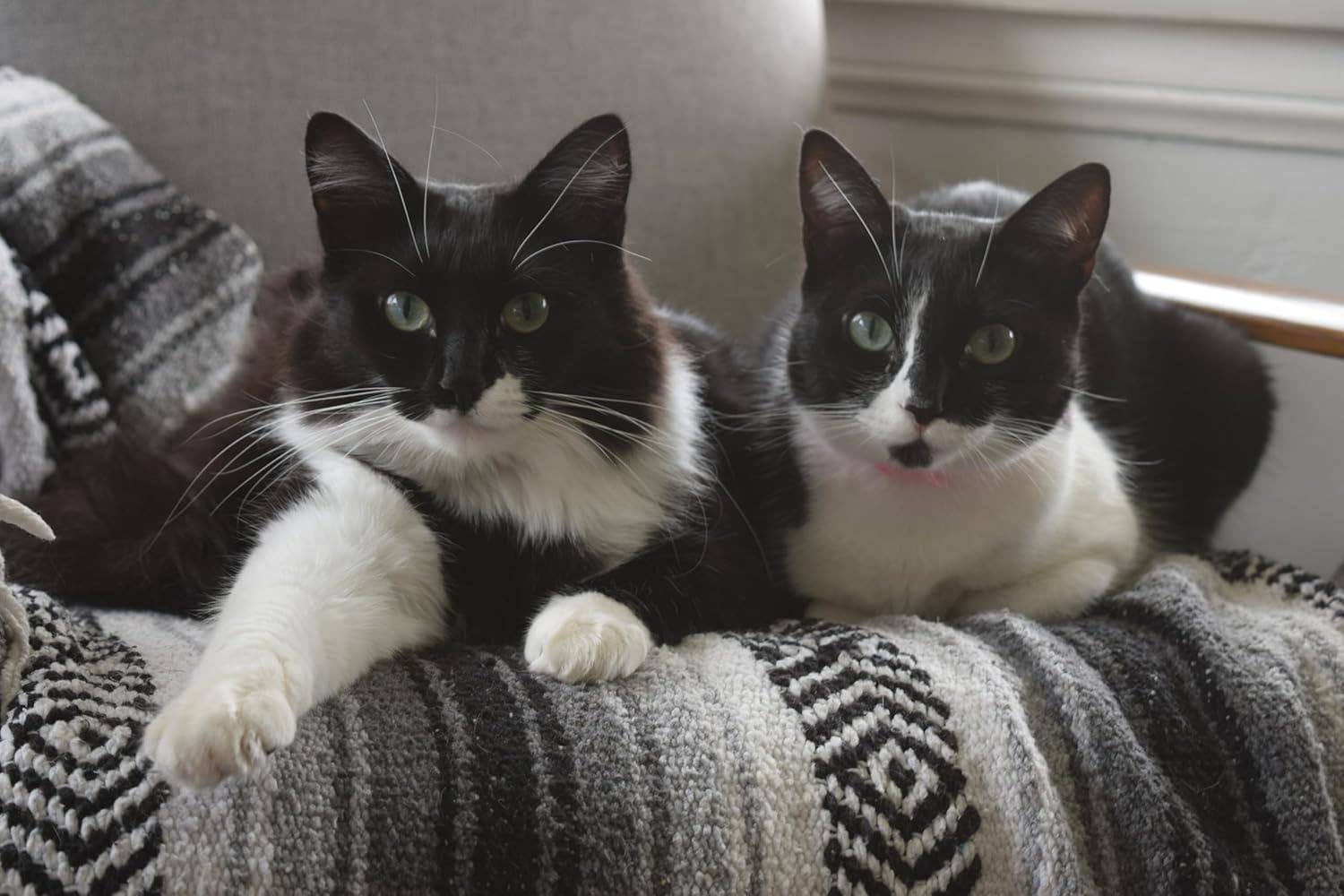 West Path - Wholesale Picnic Blanket - Mexican Blankets Black Serape | Picnic | Camp | Yoga | Beach4