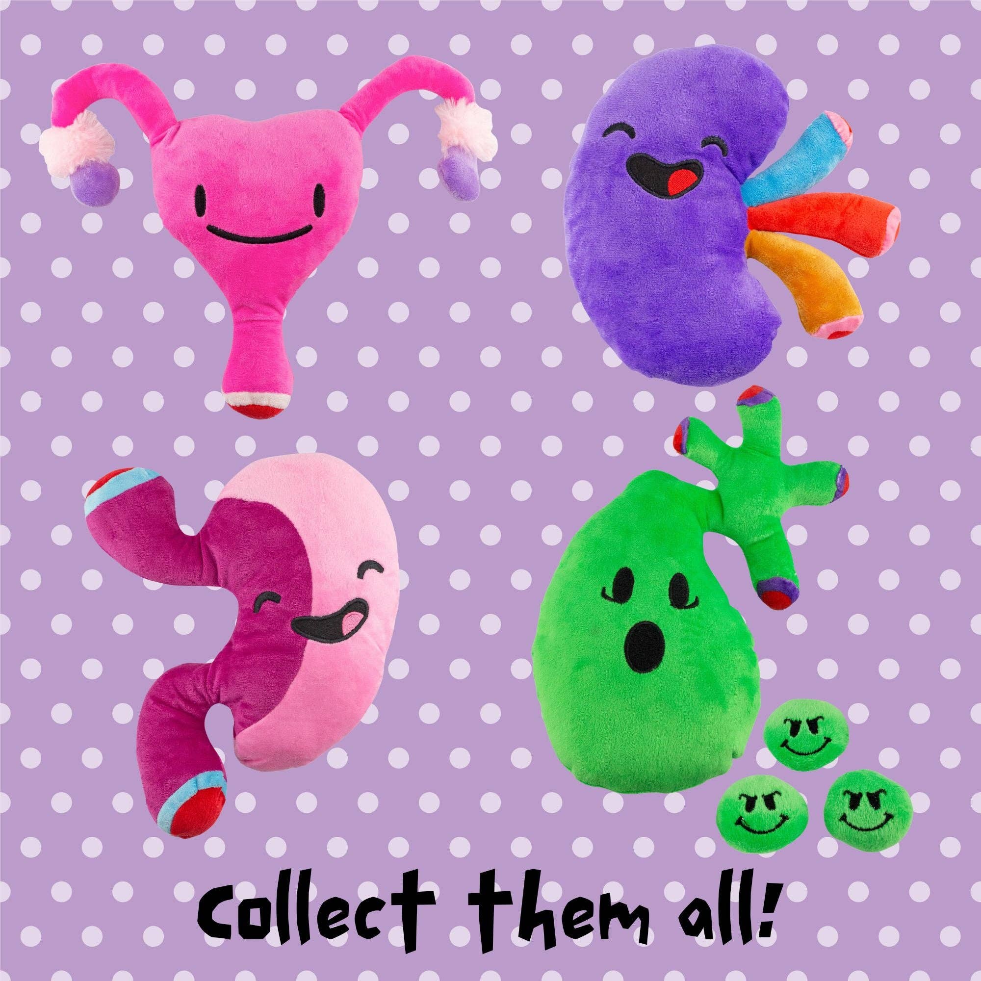 Kurated Korner - Venta al por mayor Peluche - Niños y bebés - Juguete de peluche Attatoy Plush Uterus, Ivy The Uterus6