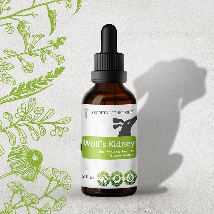 Wolf's Kidney. Healthy Kidney Function Support in Dogs for wholesale by Secrets Of The Tribe