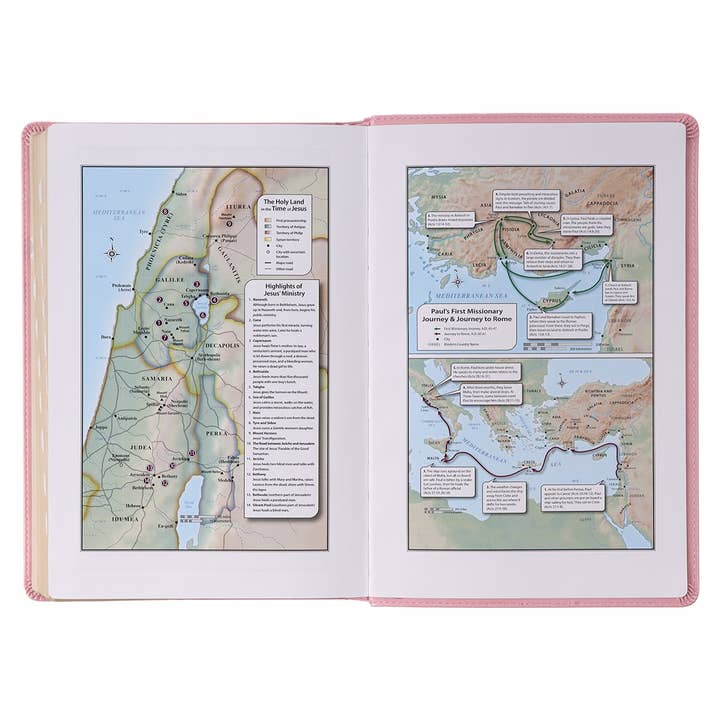 Christian Art Gifts - Wholesale Religion - KJV Bible Giant Print Full-size Faux Leather, Pink5