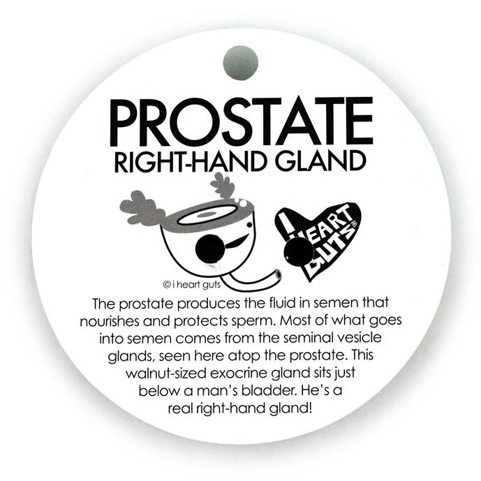 I Heart Guts | Organ Plushies Wholesale - Wholesale Lapel Pin/Button - Prostate Lapel Pin - A Seminal Work