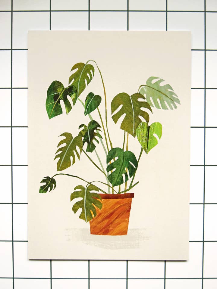 Impresión de plantas con queso Monstera, A4, A3, 350 g/m², impresión artística mate para venta al por mayor de Freya Snow