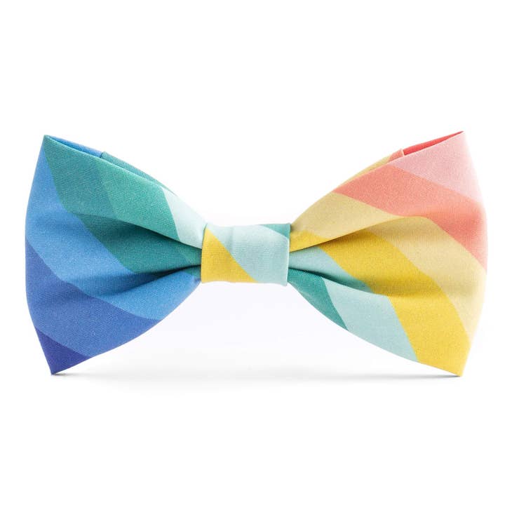 Rainbow dog bow 2024 tie