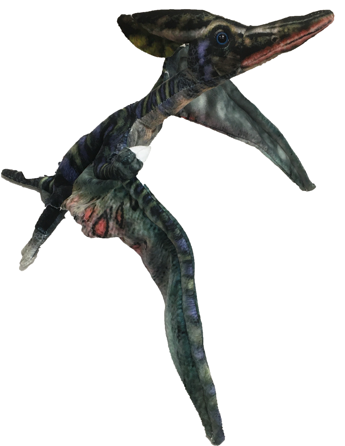 Texas Toy Distribution – wholesale Stuffed/plush toy – Kids & baby – 26" Pterosaur Dinosaur Plush Stuffed Animal2