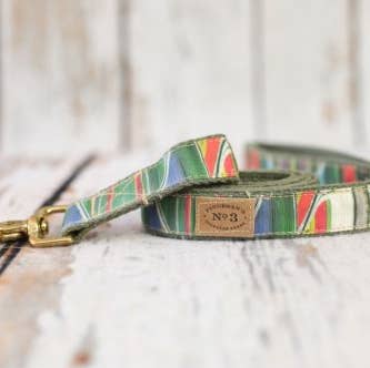 Finnegan’s Standard Goods - Wholesale Pet Collar - Dog - 1” TULIP FIELDS LEAD
