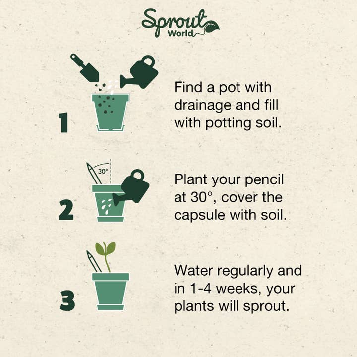 SproutWorld - Wholesale Pencil - SproutWorld Plantable Pencils | X-mas · 5 pack2