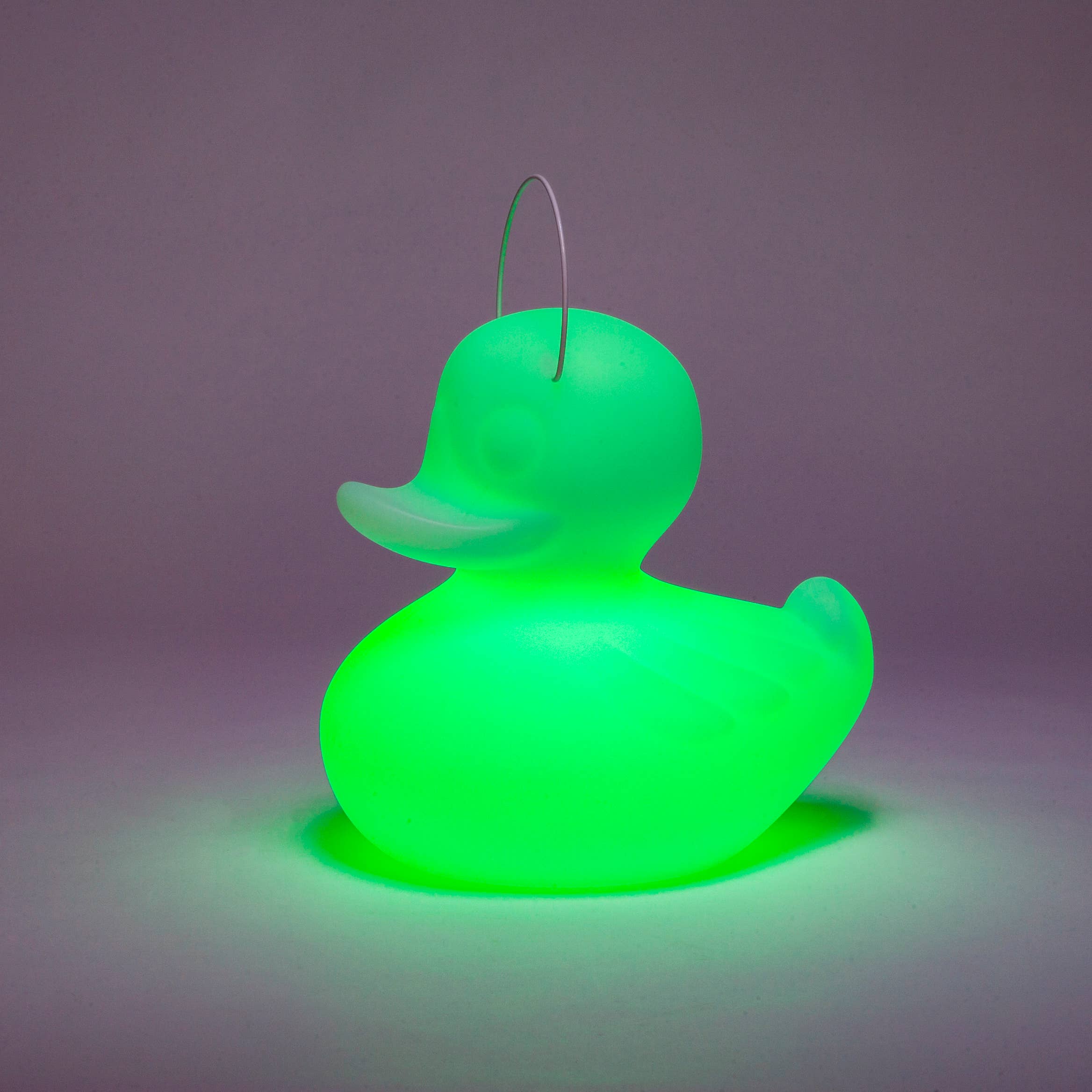 Goodnight Light - Wholesale Accent/Desk Lamp - The Duck-Duck Lamp Small 31cm - floating rechargeable lamp10