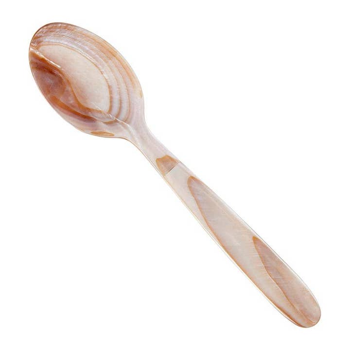 Angle - Wholesale Kitchen Spoon - Abalone Shell Spoon