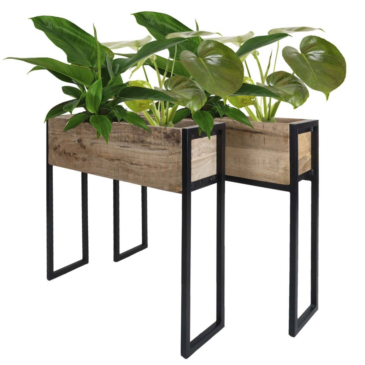 Home67 - Wholesale Planter Box - Faab Planter - Set of 21