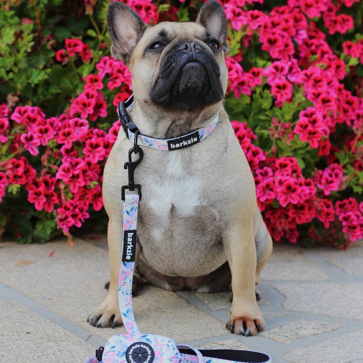 barkzie – Großhandel Haustierhalsband – Hund – Halsband - Kyoto1