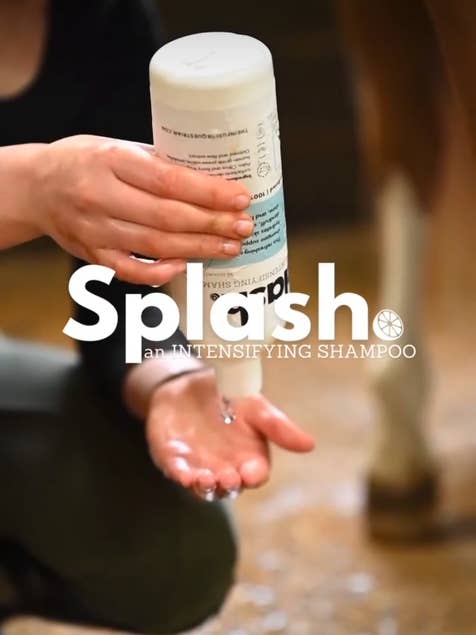 NEW! Splash. An Intensifying Shampoo. for wholesale by The Infused Equestrian