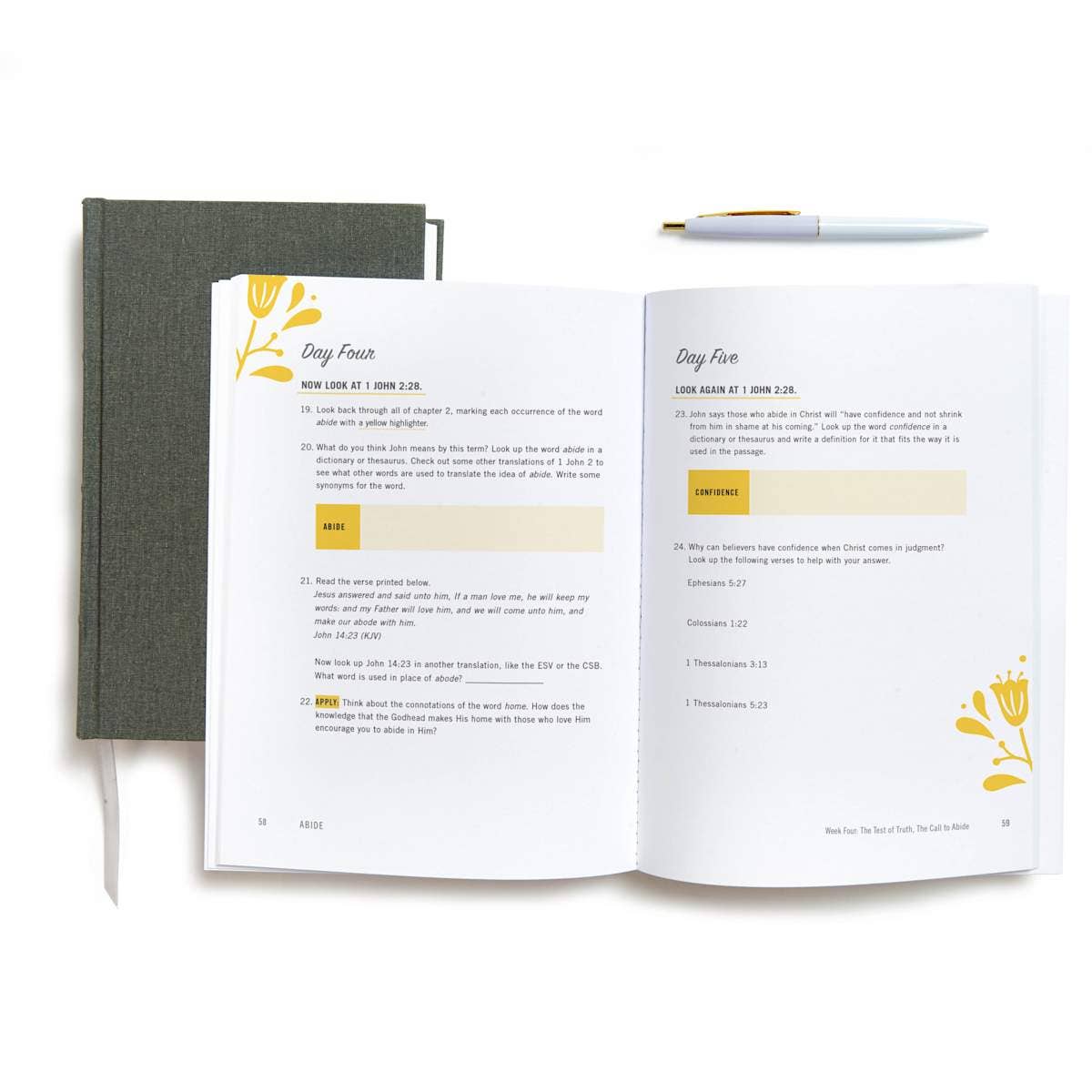 Lifeway - Wholesale Religion - Abide - Bible Study Book with Video Access3