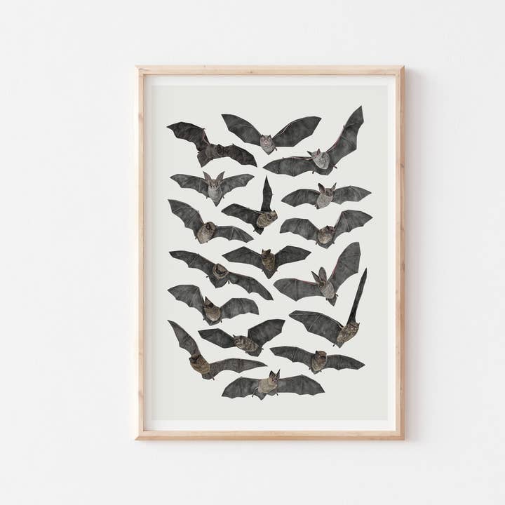 British Bats Art Print, Bat Illustration, Natural History for wholesale by Rhian Davie Illustration