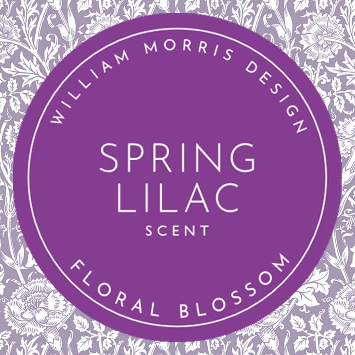 The Master Herbalist - Wholesale Ladevoering - LILA geur GEUR Lade Liners in PAARS William Morris Ontwerp6