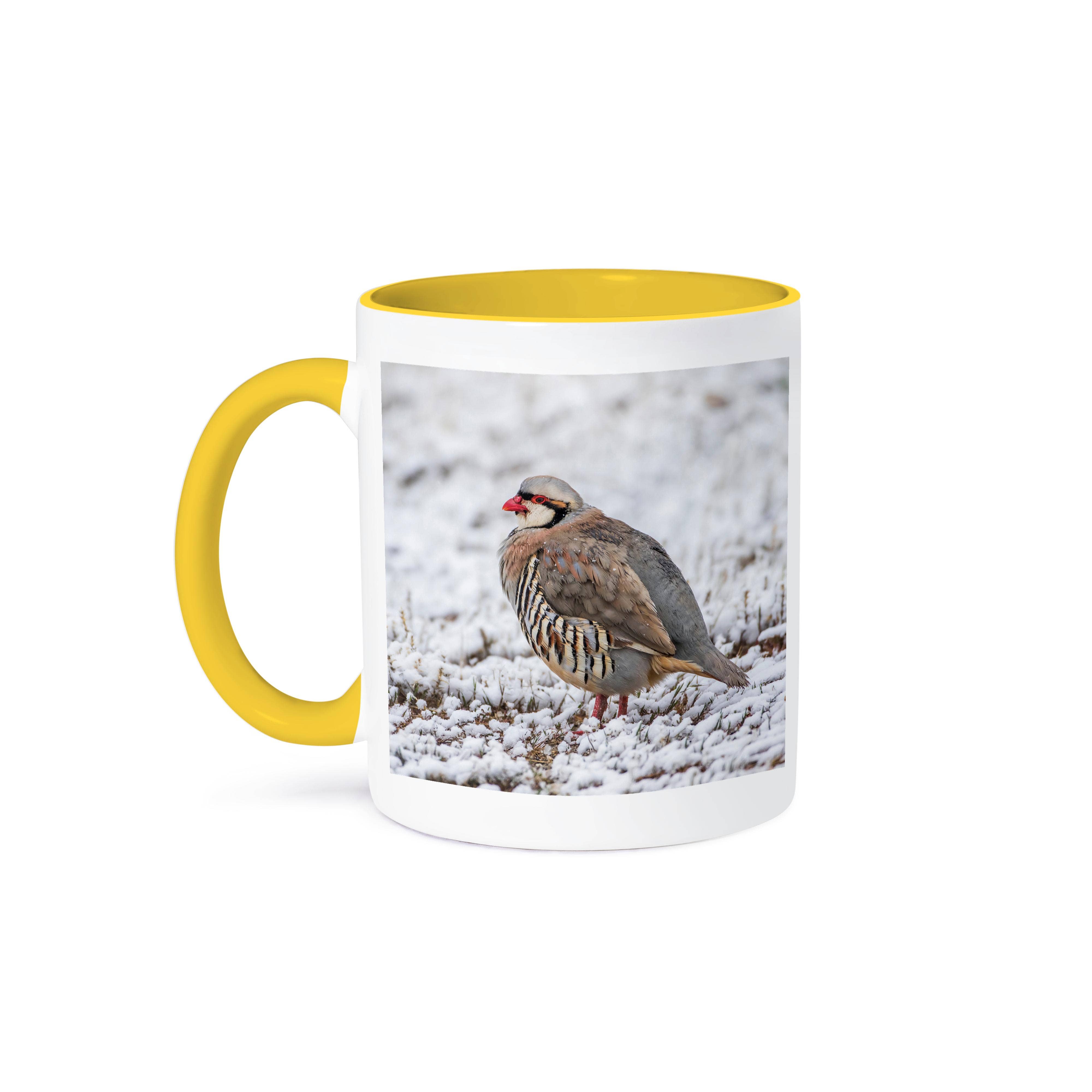 3dRose - Vendita all'ingrosso Tazza - 3dRose, Utah, Antelope Island State Park, Chukar si trova nella neve., Tazza0