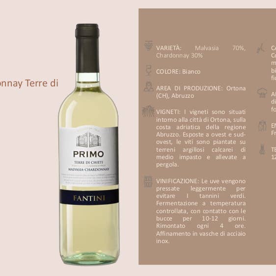 Metina SAS - Wholesale White Wine - Primo Malvasia Chardonnay IGT Cl. 75 Fantini2
