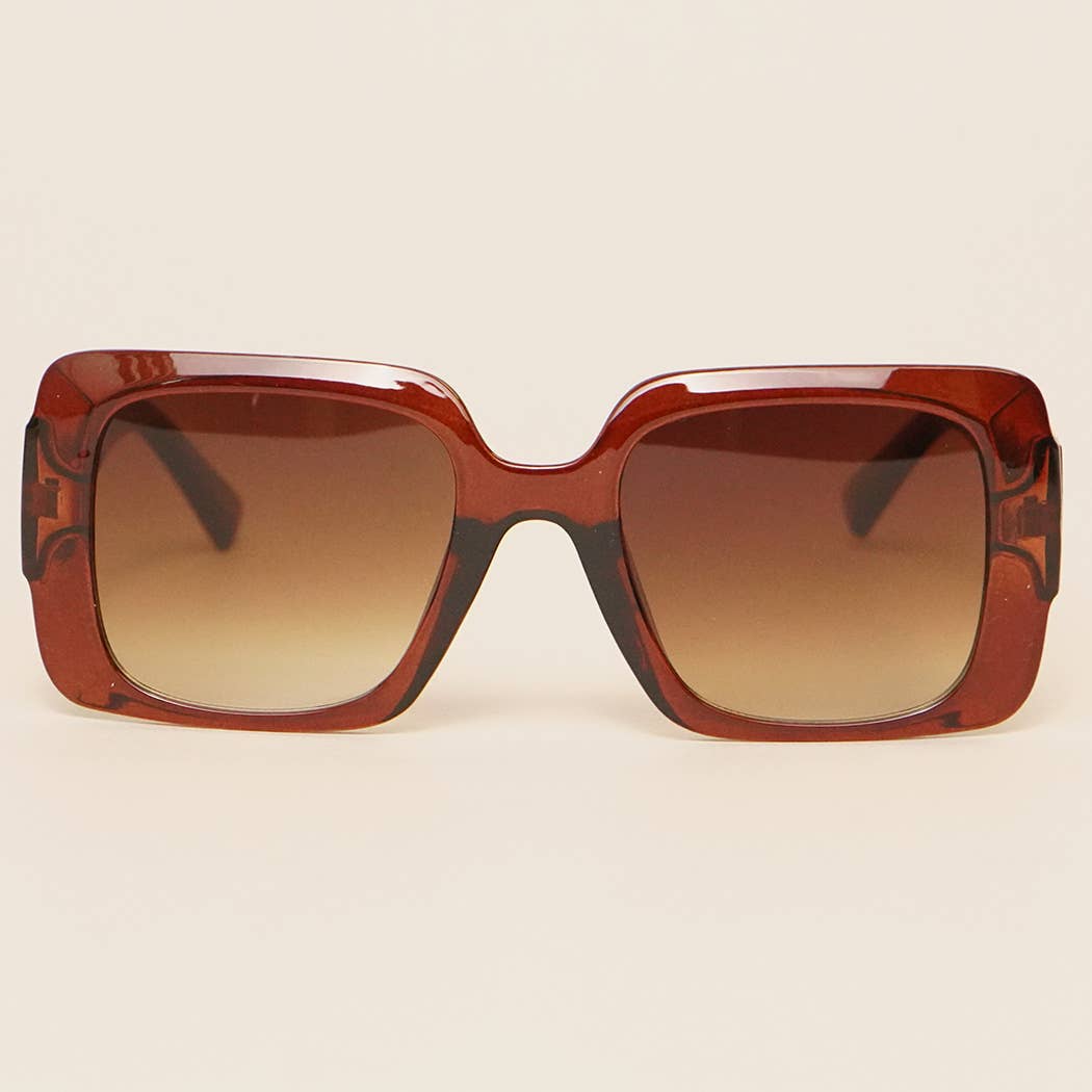  ASSORTED COLOR Retro Square Acetate Sunglasses for wholesale on Faire6