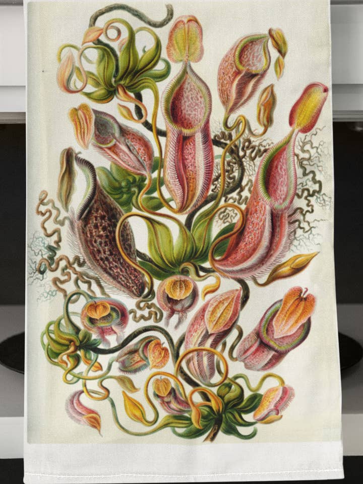 Torchon de cuisine rétro biologique Vintage Pitcher Plant pour la vente par Acme. Baby Co. LLC