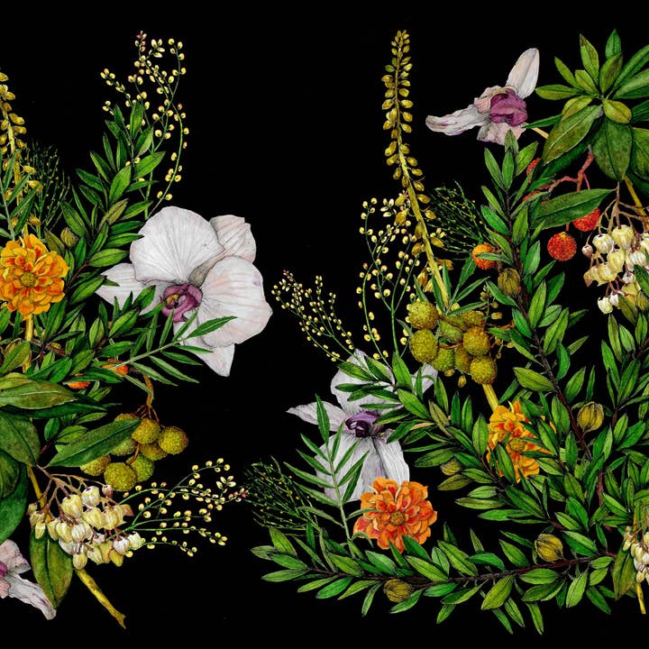 BOTANIQUE RECTANGULAIRE RC3 pour la vente par SENA CIFUENTES