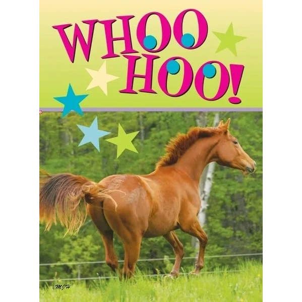 Horse Hollow Press - Wholesale Birthday Card - Horse Greeting Birthday Card / Whoo Hoo Party / Funny Cute6