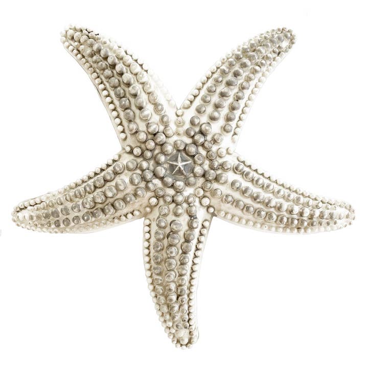 Natural Large Starfish - Decorative for wholesale by Abbiamo Tutto