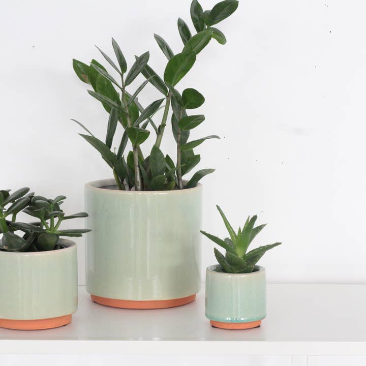 Sprout & About - Wholesale Plant Pot - Large Sage Green and Terracotta Ceramic Round Planter Pot
