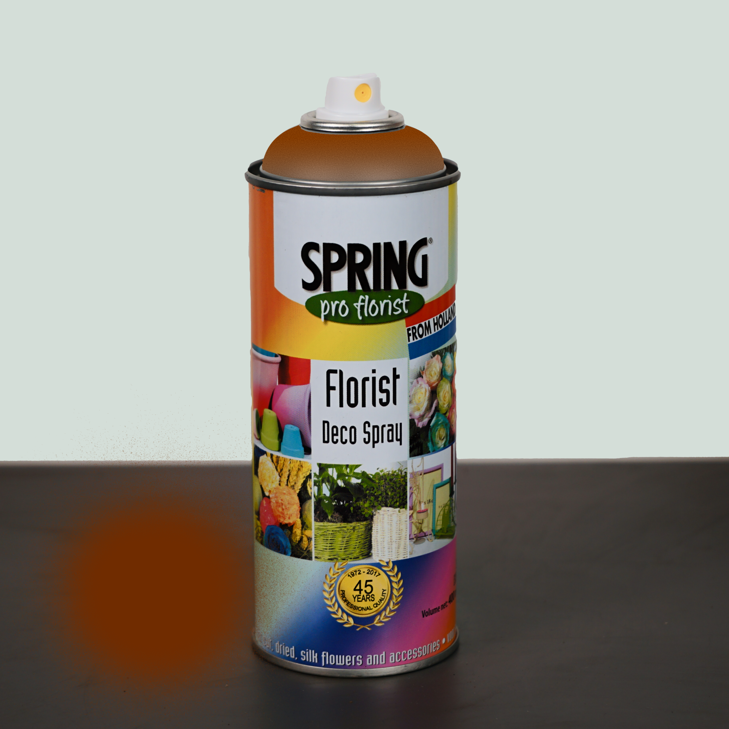 All Occasions Wholesale – wholesale Fresh cut flowers – Floral Spray Paint13