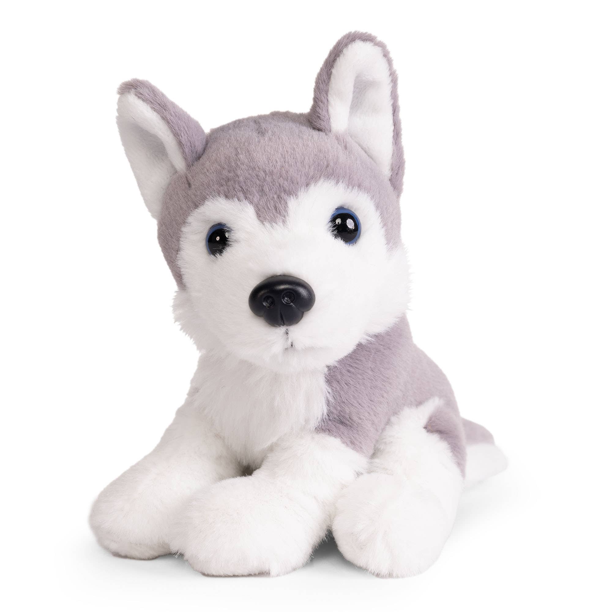 Keycraft - Vente Peluche – enfant et bébé - Petite collection de peluches chiens Nature Vivante4