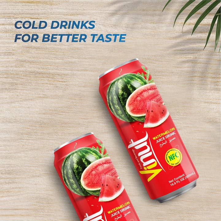 Horizon Top Market - Wholesale Fruit Juice - VINUT Watermelon Juice Drink, Not From Concentrate-24PK