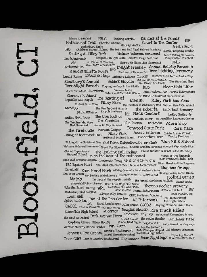 Bloomfield Pride Pillow Cover for wholesale by TownieSwag