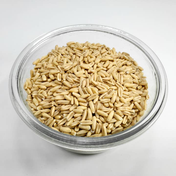 Maine Grains - Wholesale Oats - Organic Whole Oat Groats / 6x2.4#4